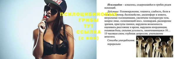 скорость Белокуриха