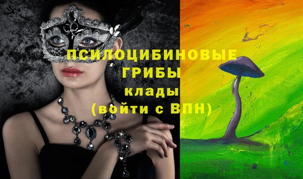 скорость Белокуриха