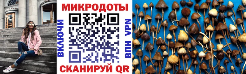 дарнет шоп  Серов  Псилоцибиновые грибы мухоморы 